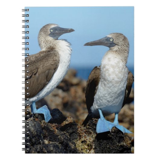 Galapagos-eilanden, Isabela eiland Notitieboek (Voorkant)