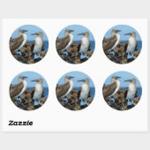 Galapagos-eilanden, Isabela eiland Ronde Sticker (Vel)