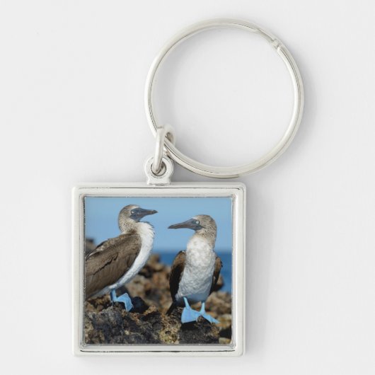 Galapagos-eilanden, Isabela eiland Sleutelhanger (Voorkant)