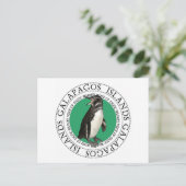 Galapagos-eilanden Penguin Briefkaart (Staand voorkant)
