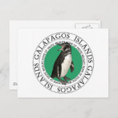 Galapagos-eilanden Penguin Briefkaart (Voorkant / Achterkant)