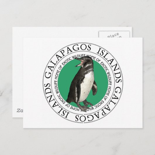 Galapagos-eilanden Penguin Briefkaart (Voorkant / Achterkant)