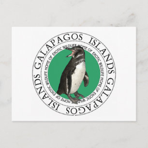 Galapagos-eilanden Penguin Briefkaart