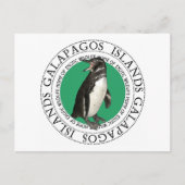 Galapagos-eilanden Penguin Briefkaart (Voorkant)
