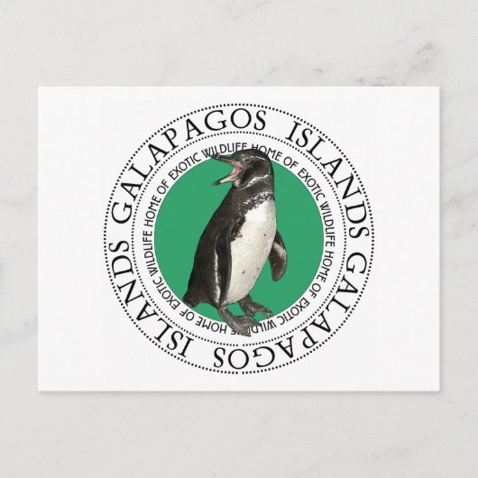Galapagos-eilanden Penguin Briefkaart (Voorkant)