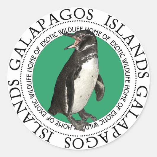 Galapagos-eilanden Penguin Ronde Sticker (Voorkant)