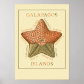 Galapagos Eilanden Poster (Voorkant)