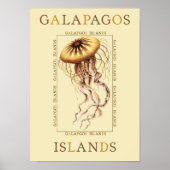 Galapagos-eilanden Poster (Voorkant)