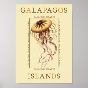 Galapagos-eilanden Poster