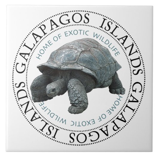 Galapagos eilanden schildpad T-shirt Tegeltje (Voorkant)