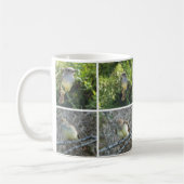 Galápagos Flycatcher Koffiemok (Links)