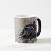 Galapagos Frigate Birds Magische Mok (Voorkant rechts)