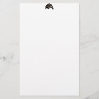 Galápagos/Galapagos Giant Tortoise Briefpapier