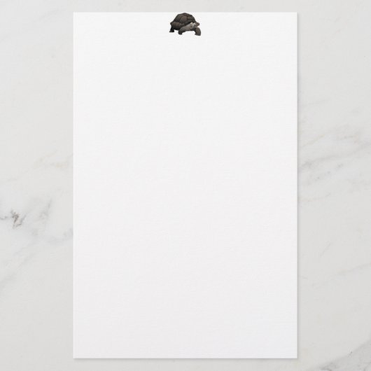 Galápagos/Galapagos Giant Tortoise Briefpapier (Voorkant)