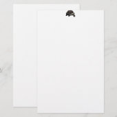 Galápagos/Galapagos Giant Tortoise Briefpapier (Voorkant / Achterkant)