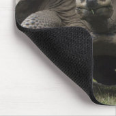 Galapagos Giant Tortoises Geochelone Muismat (Hoek)