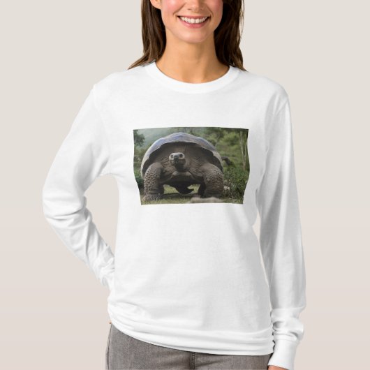 Galapagos Giant Tortoises Geochelone T-shirt (Voorkant)