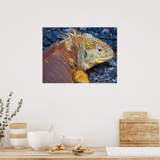 Galapagos Iguana Print (Keuken)