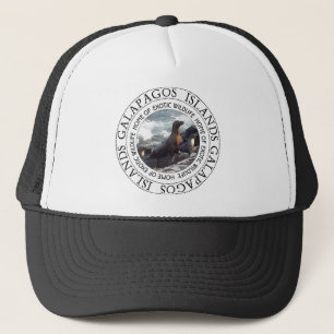 Galapagos Islands Seal Trucker Pet