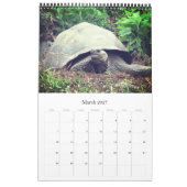 galapagos kalender (Mar 2027)