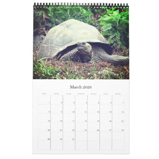 galapagos kalender (Mar 2026)