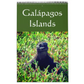 galapagos kalender (Hoes)