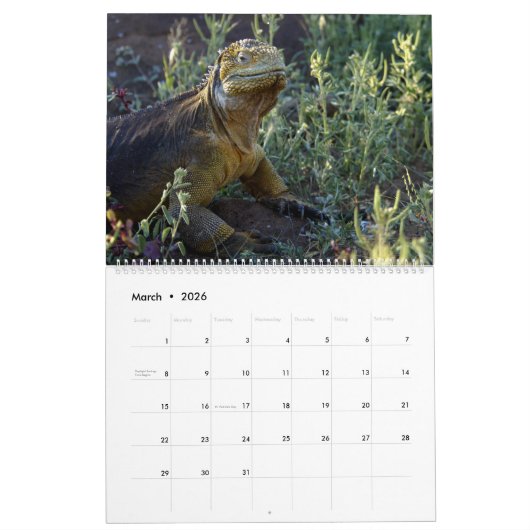 Galápagos Kalender (Mar 2026)