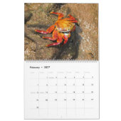 Galápagos Kalender (Feb 2027)