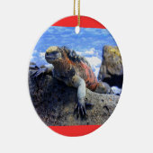 Galapagos Keramisch Ornament (Rechts)