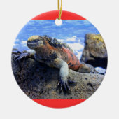 Galapagos Keramisch Ornament (Voorkant)