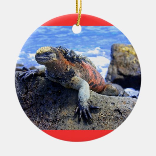 Galapagos Keramisch Ornament (Voorkant)