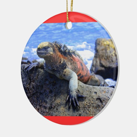 Galapagos Keramisch Ornament (Links)