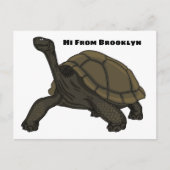 Galapagos land tortoise illustration  briefkaart (Voorkant)
