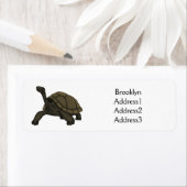 Galapagos landschildpad etiket (Insitu)