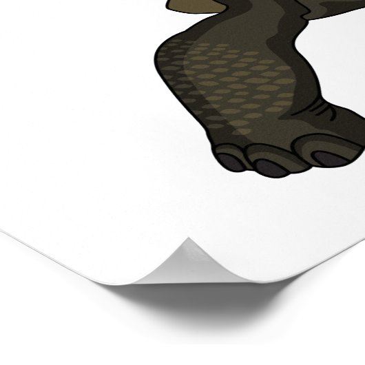 Galapagos landschildpad poster (Hoek)