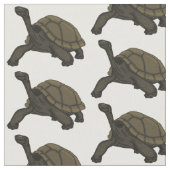 Galapagos landschildpad stof (Close Up)