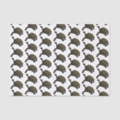 Galapagos landschildpad tissuepapier (Voorkant)