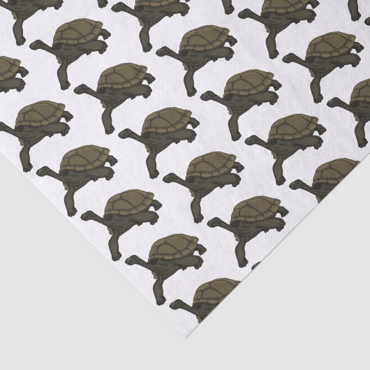 Galapagos landschildpad tissuepapier (Detail)