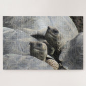 galapagos legpuzzel (Horizontaal)