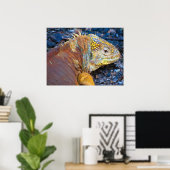 Galapagos Leguaan Print (Thuiskantoor)