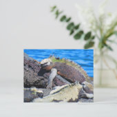 galapagos marine iguana briefkaart (Staand voorkant)