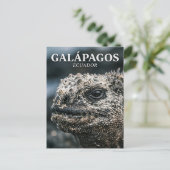 Galápagos Nationaal Park Ecuador Briefkaart (Staand voorkant)