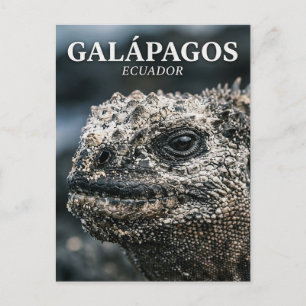 Galápagos Nationaal Park Ecuador Briefkaart