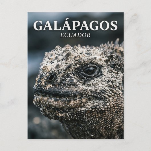 Galápagos Nationaal Park Ecuador Briefkaart (Voorkant)