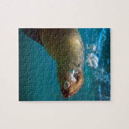 Galapagos onder water, vreemd zee paradijs legpuzzel (Horizontaal)