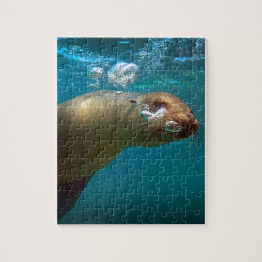 Galapagos onder water, vreemd zee paradijs legpuzzel (Verticaal)