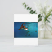 Galapagos onderwater Geppotte arroggen Briefkaart (Staand voorkant)