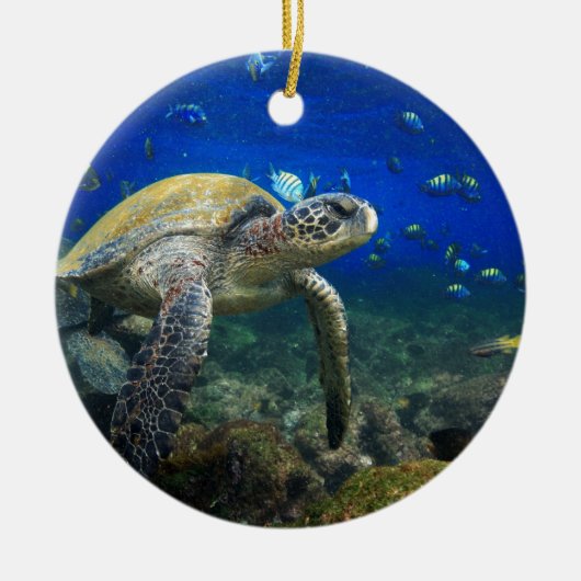 Galapagos paradijs, zee onderzeese schildpad keramisch ornament (Voorkant)