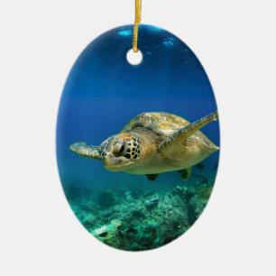Galapagos paradijsschildpad onderwater keramisch ornament