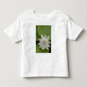 Galapagos Passiebloem Passiflora foetida Kinder Shirts